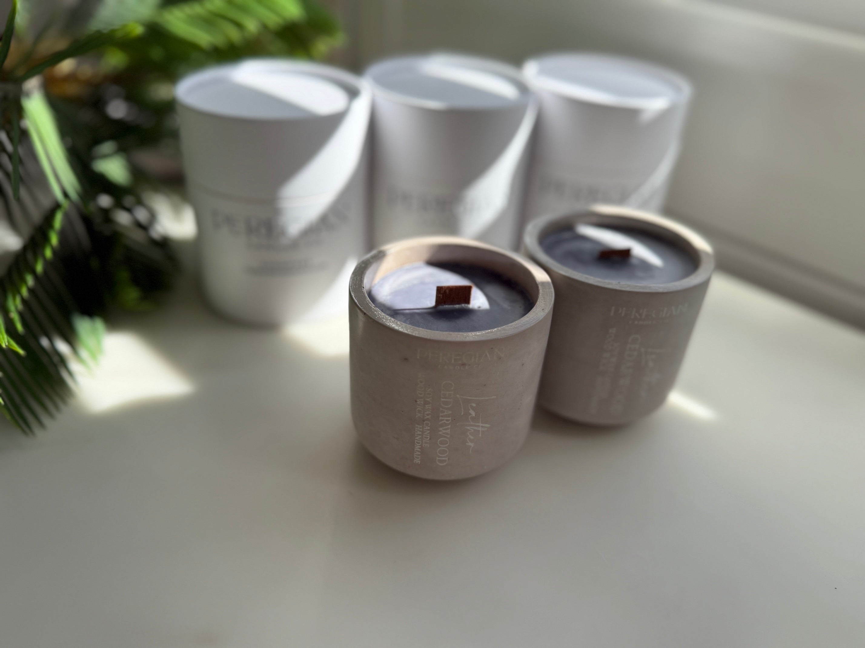 Arabian Collection - Petite - Amber Sandalwood & Leather Cedarwood
